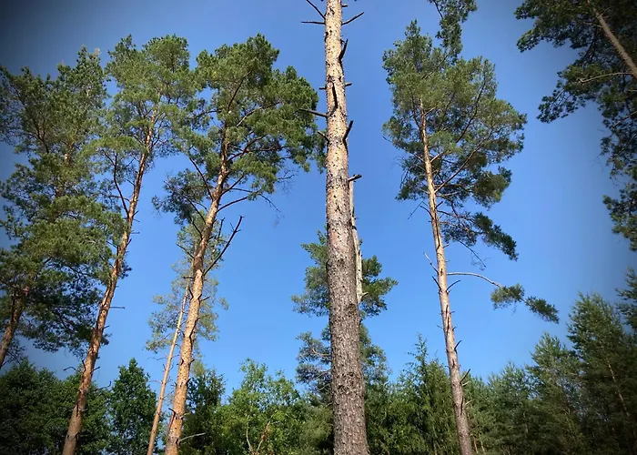 Makosieje Resort-Komfortowy Domek 15M Od Jeziora,Widok Na Jezioro,Ogrzewanie,Wi-Fi